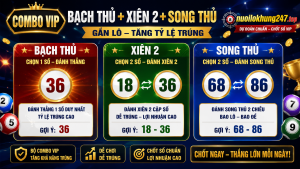 Combo VIP Bạch thủ