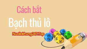 cách bắt bạch thủ lô
