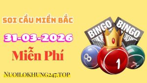 soi cầu miền bắc 31-03-2026