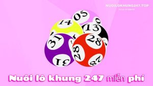 Nuôi Lô 247 Miễn Phí