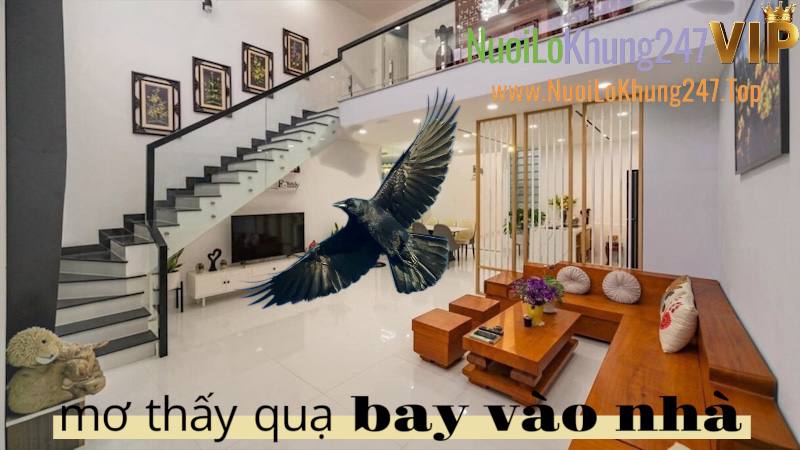 Mơ Thấy Quạ Bay Vào Nhà Đánh Con Gì? Giải Mã Chi Tiết Điềm Báo Vấn Số