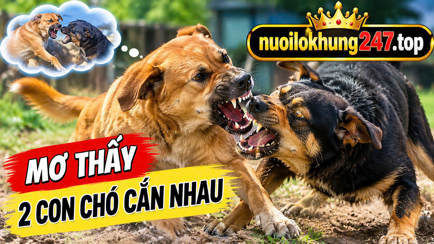  Những trường hợp khác Liên Quan Đến hai con Chó Cắn Nhau
