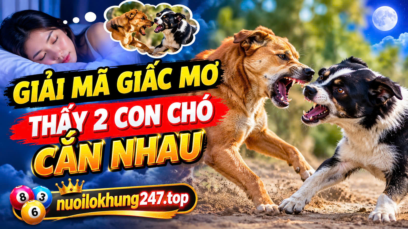 Ý Nghĩa Điềm Báo Khi Thấy Hai Chó Cắn Nhau