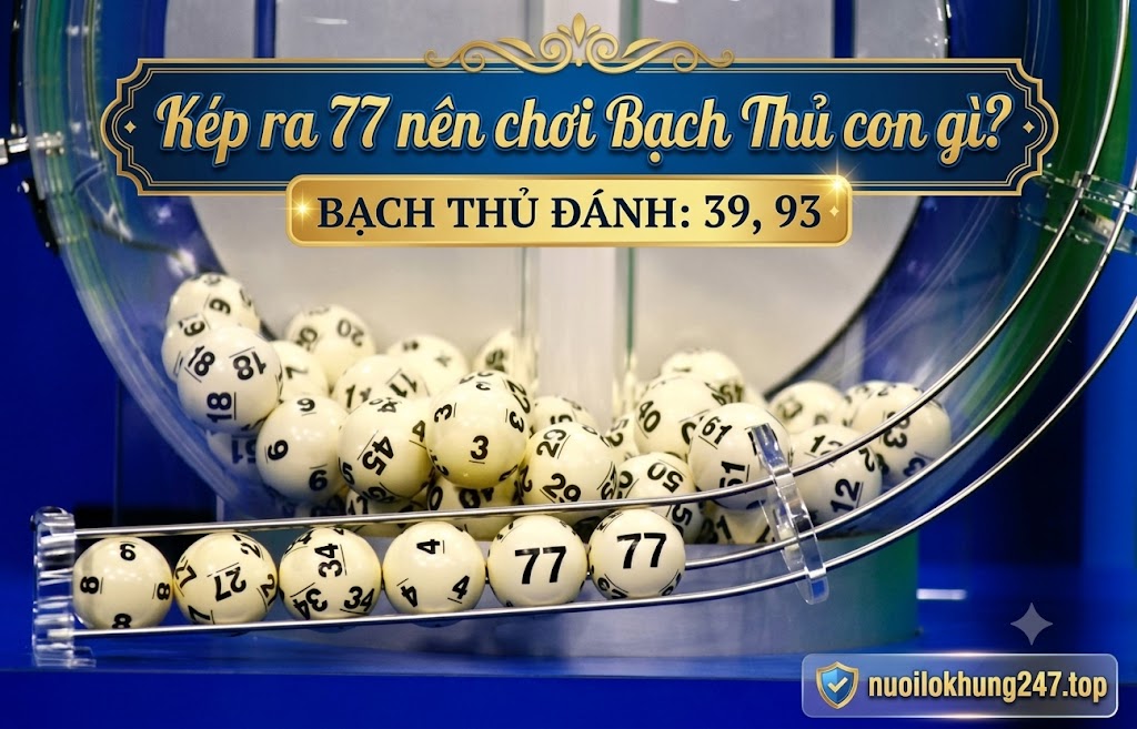 kép ra 77 nên chơi bạch thủ con gì